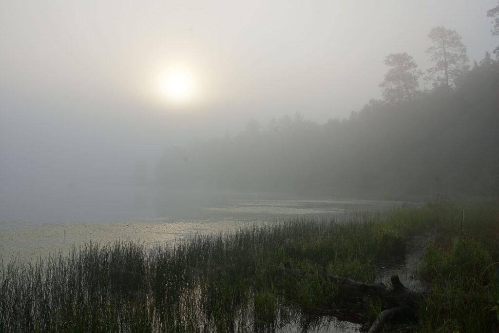 Foggy Lake Sunrise