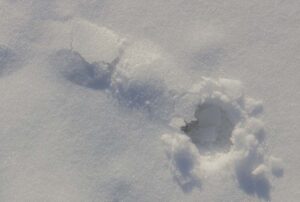 Small Snow Tunnel