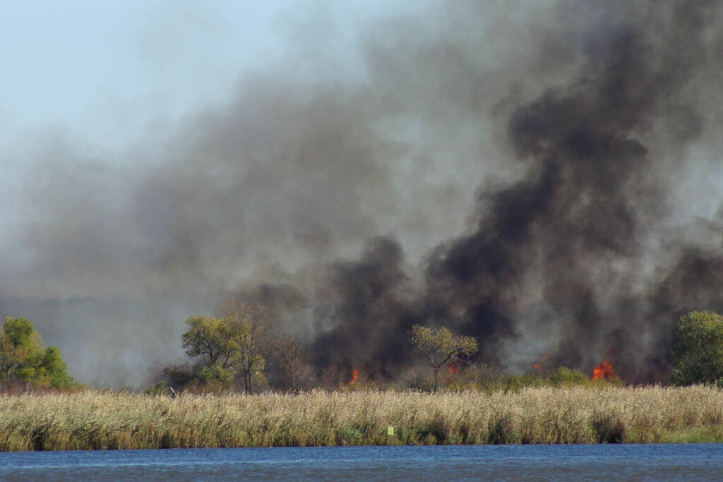 Cattail Marsh Fire